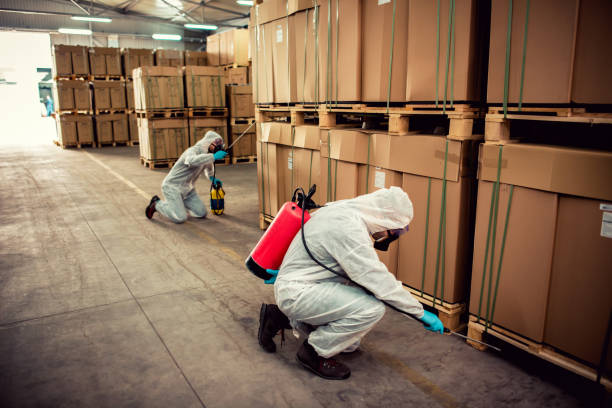 Best Commercial Pest Control Services  in Beaumont, TX
