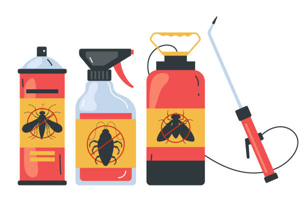 Professional Pest Control in Beaumont, TX